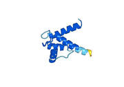 Human Protein S100 beta (S100B) recombinant protein