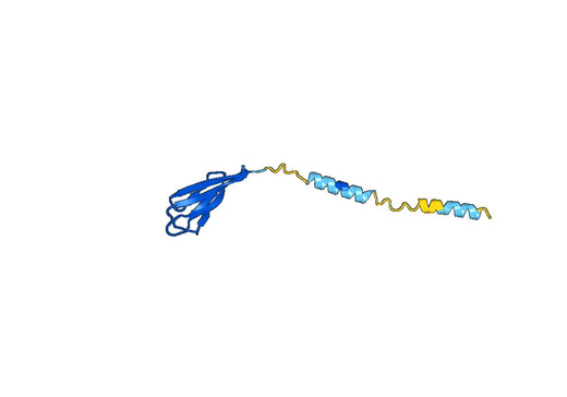 Human Resistin-like alpha (HIMF) Recombinant Protein