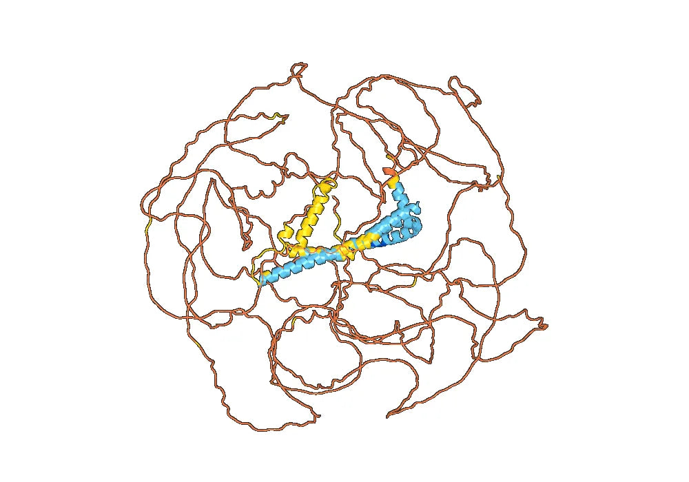 Human Reticulon-4/RTN4 Monoclonal Antibody