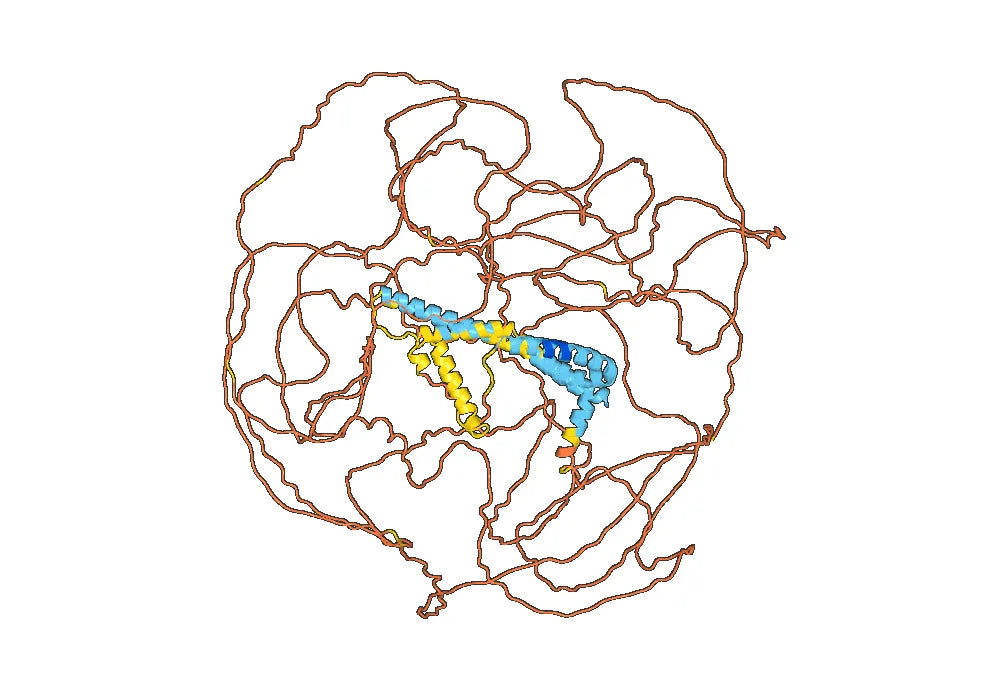 Human Reticulon-4/RTN4 (SAA0170) Monoclonal Antibody