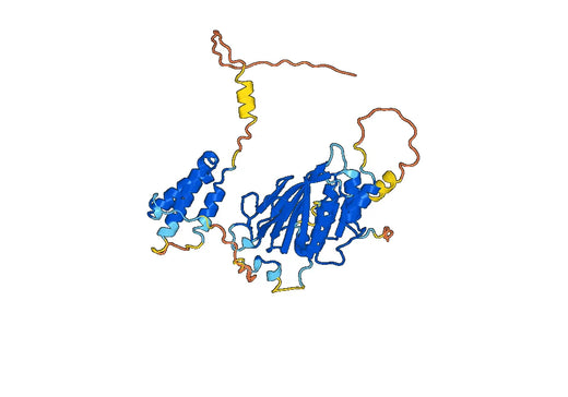Human RGMA recombinant protein