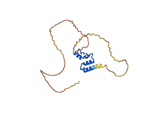 Human ROR2 recombinant protein