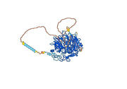 Human SORT1/Gp95/Sortilin Monoclonal Antibody