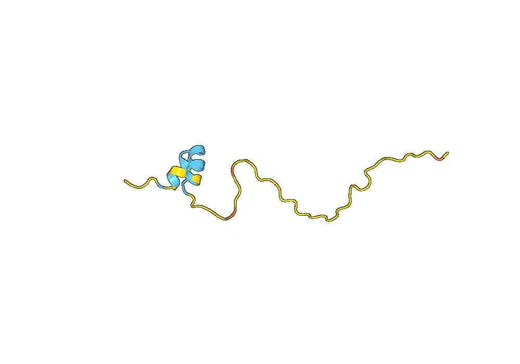 Human SSTR2 recombinant protein
