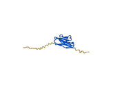 Human T-cell immunoreceptor with Ig and ITIM domains (TIGIT) recombinant protein