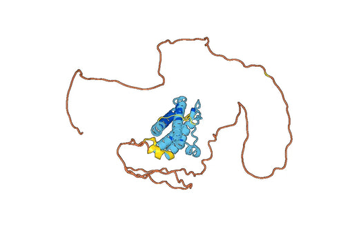 Human THPO recombinant protein