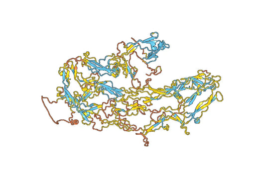 Human THSD7A recombinant protein