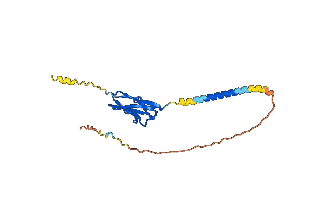 Human TIGIT Monoclonal Antibody