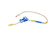 Human TIGIT (SAA0154) Monoclonal Antibody