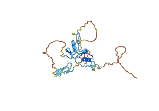 Human TMEFF1 recombinant protein