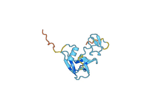 Human TMPRSS2 recombinant protein