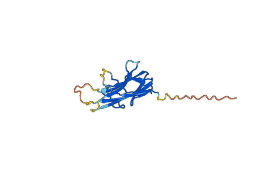 Human TNFSF15/TL1A recombinant protein