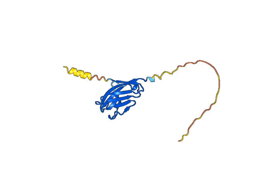 Human TREM2 recombinant protein