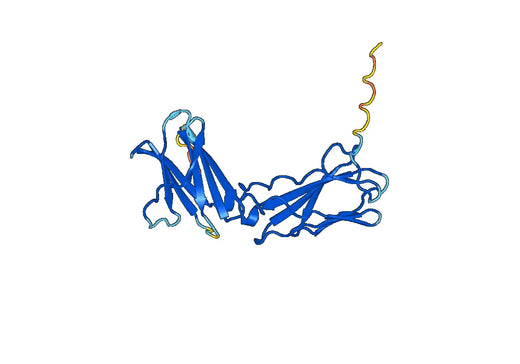 Human TSLPR recombinant protein