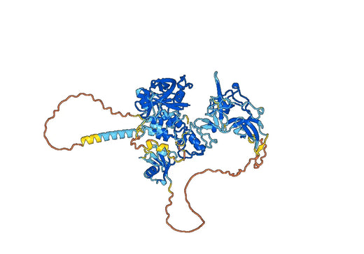 Human UHRF1-ICBP90 tagged Recombinant Protein