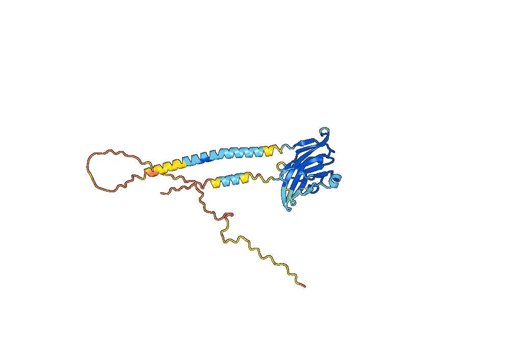 Human VSIR/VISTA Monoclonal Antibody