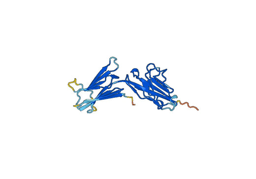 Human VTCN1 recombinant protein