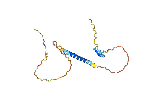 Ianalumab ELISA Kit