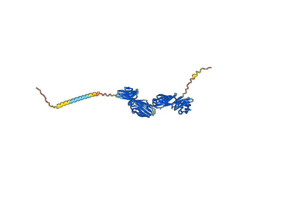Ibalizumab Biosimilar - Anti-CD4 D3 domain mAb - Research Grade