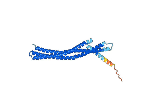 ICA1, N-His, recombinant protein