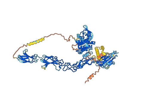 Ifabotuzumab ELISA Kit