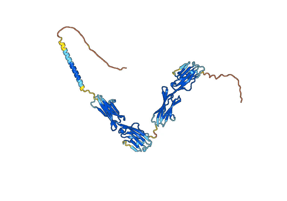 Ifinatamab Biosimilar - Anti-CD276 mAb - Research Grade