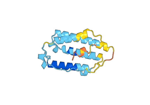 IFNA4, N-His, recombinant protein