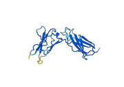 IFNAR1, N-His, recombinant protein