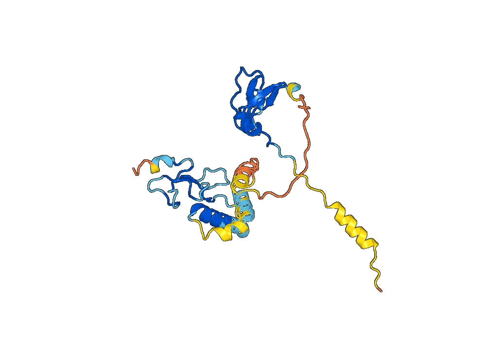 IGFBP1 protein - Human IGFBP1 full length Recombinant Protein