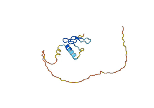 IGFBP3, N-His, recombinant protein