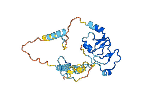 IGFBP4, N-His, recombinant protein