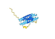 IL11, N-His, recombinant protein