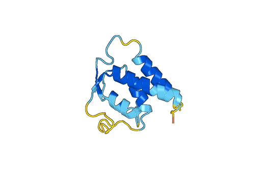 IL13, N-His, recombinant protein
