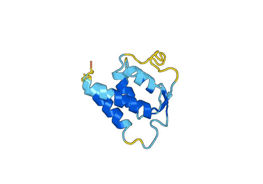 IL13 recombinant protein