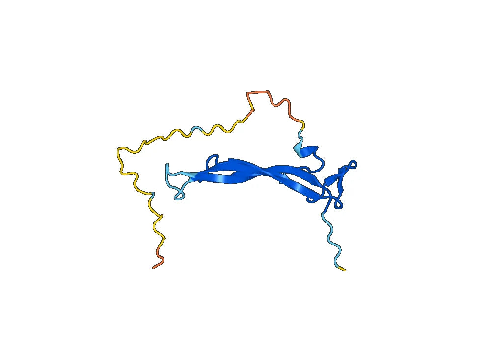 IL17A, C-His, recombinant protein