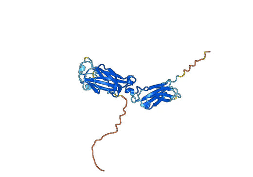 IL17RA recombinant protein