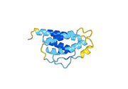 IL2 Protein - Interleukin-2 Protein (IL2)