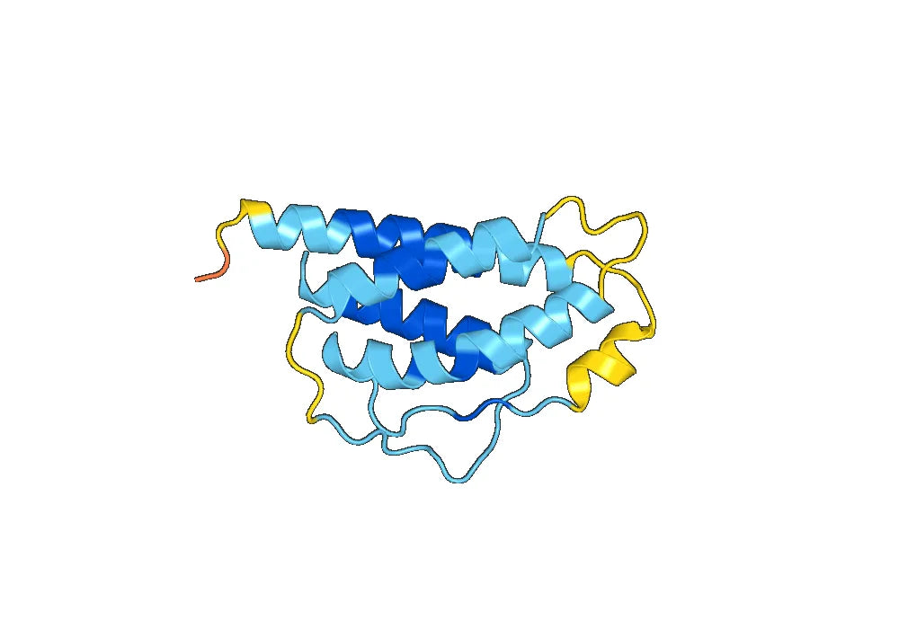 IL2 Protein - Interleukin-2 Protein (IL2)