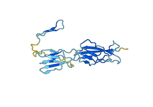 IL27RA, N-His, recombinant protein