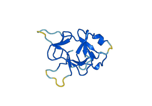 IL36RN, N-His, recombinant protein