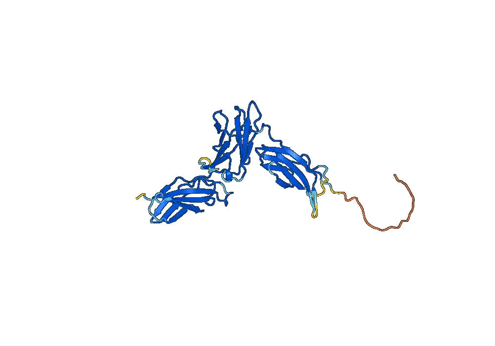 IL5RA recombinant protein