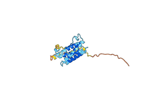 IL6 Protein - Interleukin-6(IL6)