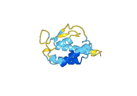 IL9, C-His, recombinant protein