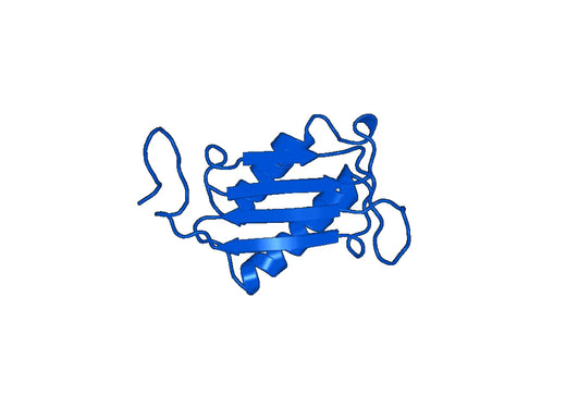 Imalumab ELISA Kit