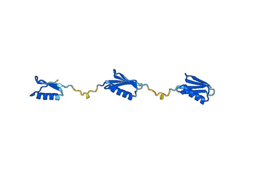 Immunoglobulin G-binding protein G(spg) His Tag