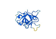 Imsidolimab Biosimilar - Anti-IL36R mAb - Research Grade