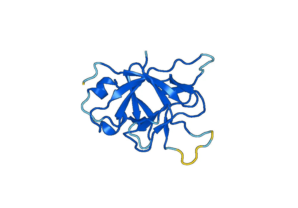 Imsidolimab Biosimilar - Anti-IL36R mAb - Research Grade