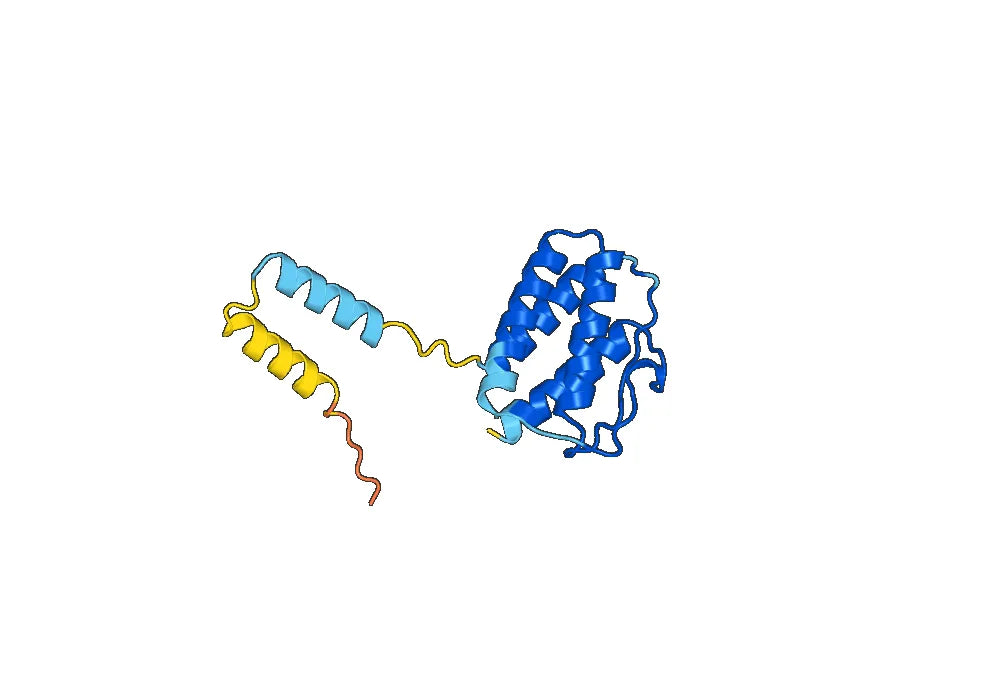 Inbakicept Biosimilar - Anti-IL15 fusion protein - Research Grade