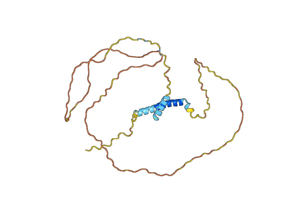 Indatuximab Biosimilar - Anti-SDC1, CD138 mAb - Research Grade