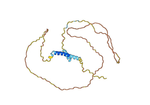 Indatuximab ELISA Kit